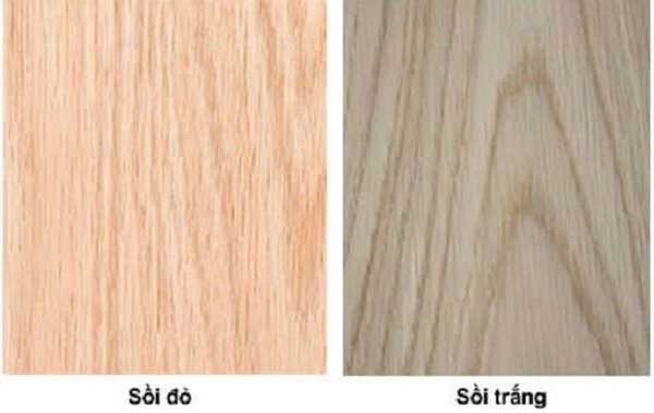 Cách phân biệt gỗ sồi trắng và gỗ sồi đỏ
