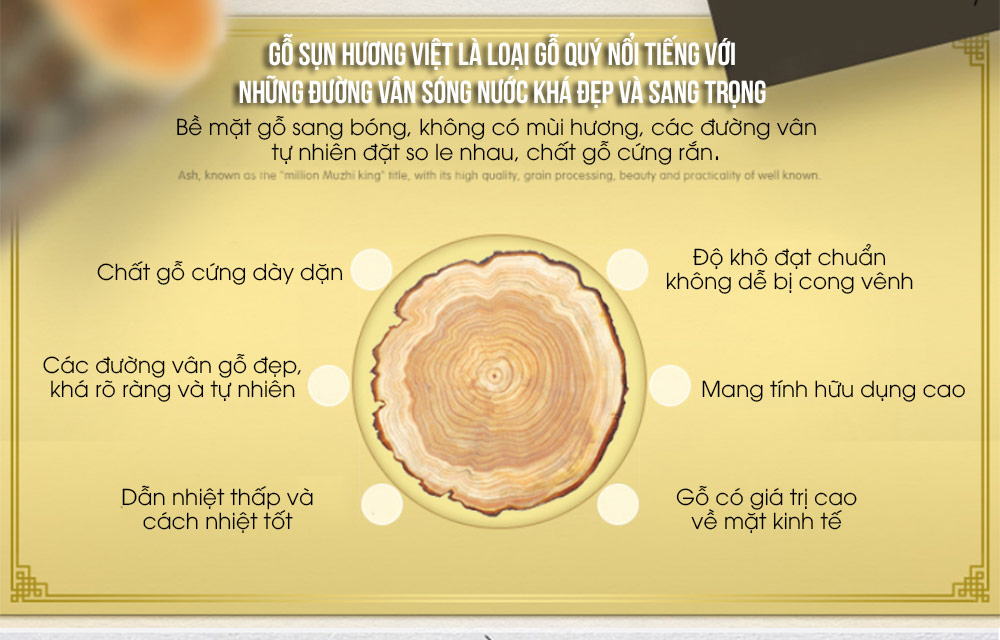 Mặt bàn trà gỗ nguyên tấm cao cấp cho phòng khách sang trọng LU164