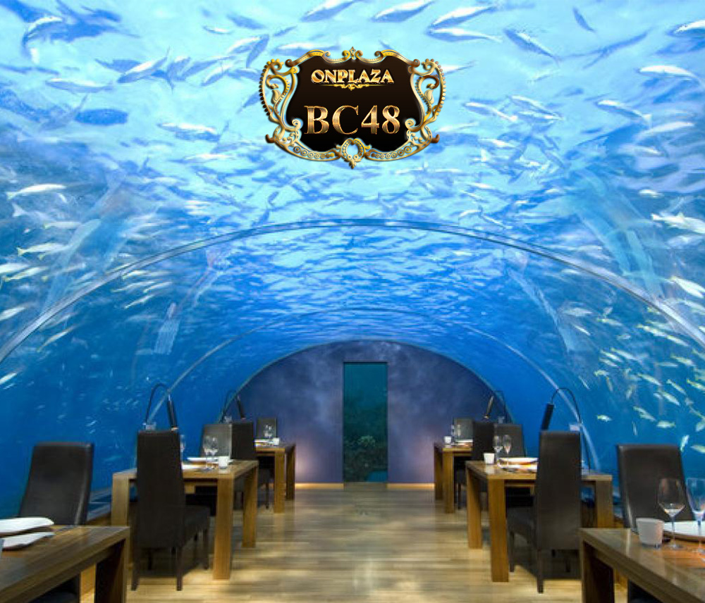 Bể cá thủy cung lớn (thiết kế theo yêu cầu) BC48