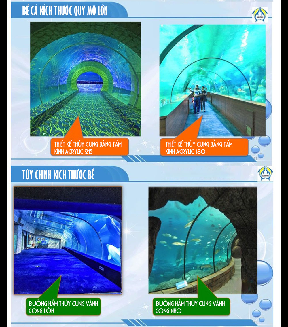 Bể cá đại dương hình trụ (thiết kế theo yêu cầu) BC55
