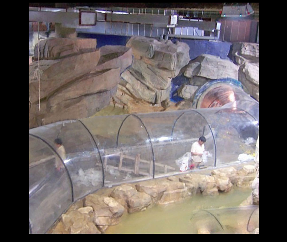 Bể cá thủy cung hình vòm hiện đại BC57