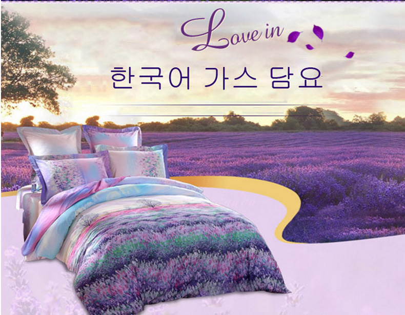 Bộ chăn ga Hàn Quốc họa tiết cánh đồng hoa oải hương độc đáo CG039