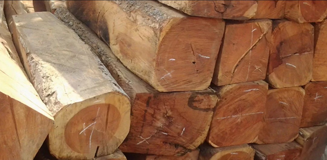 Hình ảnh gỗ gụ tự nhiên đã được cắt khúc