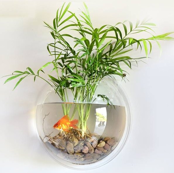 Một thiết kế treo tường nhỏ bé nhưng đẹp mắt