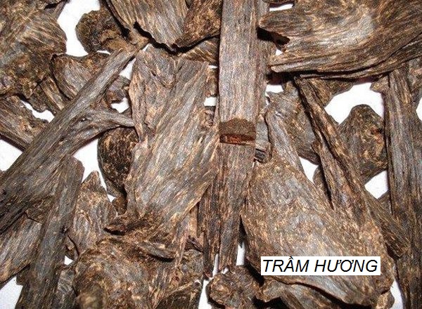 Gỗ trầm hương có mùi thơm dễ chịu Gỗ trầm hương có mùi thơm dễ chịu